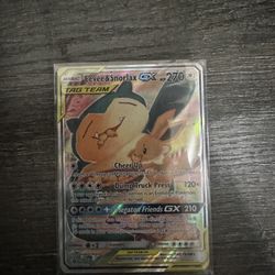Snorlax and Eevee Tag Team Promo