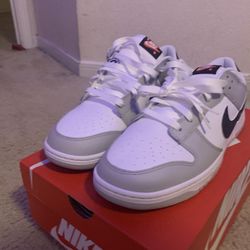 Nike Dunk low Retro SE