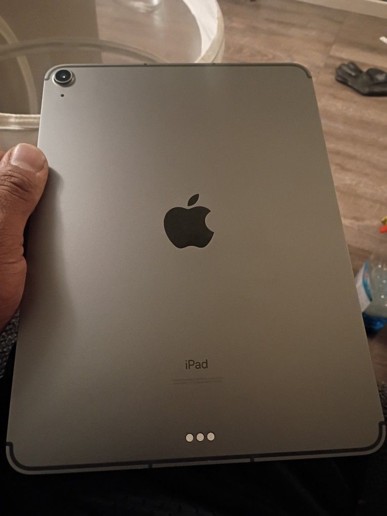 Apple iPad