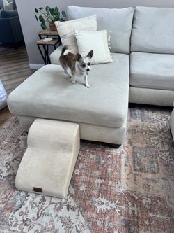 Dog stairs for couch