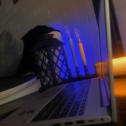 HP Probook - Windows 11