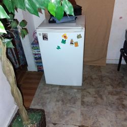 Small Fridge 