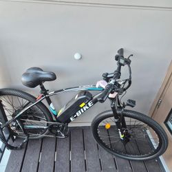 Electric E BIKE 