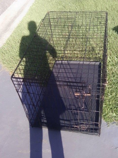 Large Dog Crate
