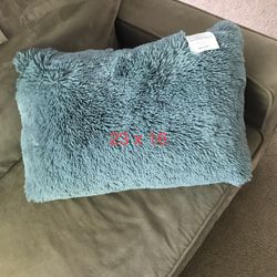 decorative Pillow Never Used