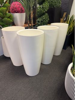 White planter / maceta blanca