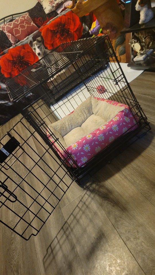 Dog Kennel