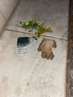 Fish tank decertification