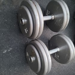 pro style dumbells Weights