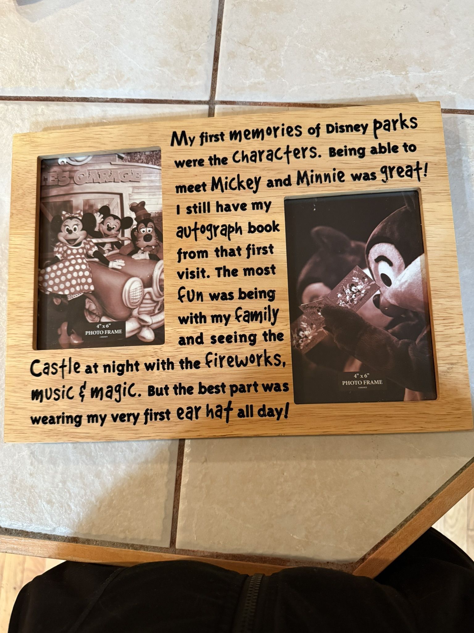 Disney Parks Picture Frame