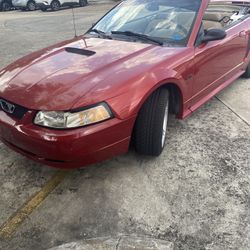 2000 Ford Mustang