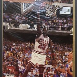 Michael Jordan NBA Hoops 1990 - 8x10 photo card