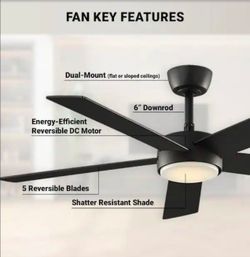 Ceiling fan