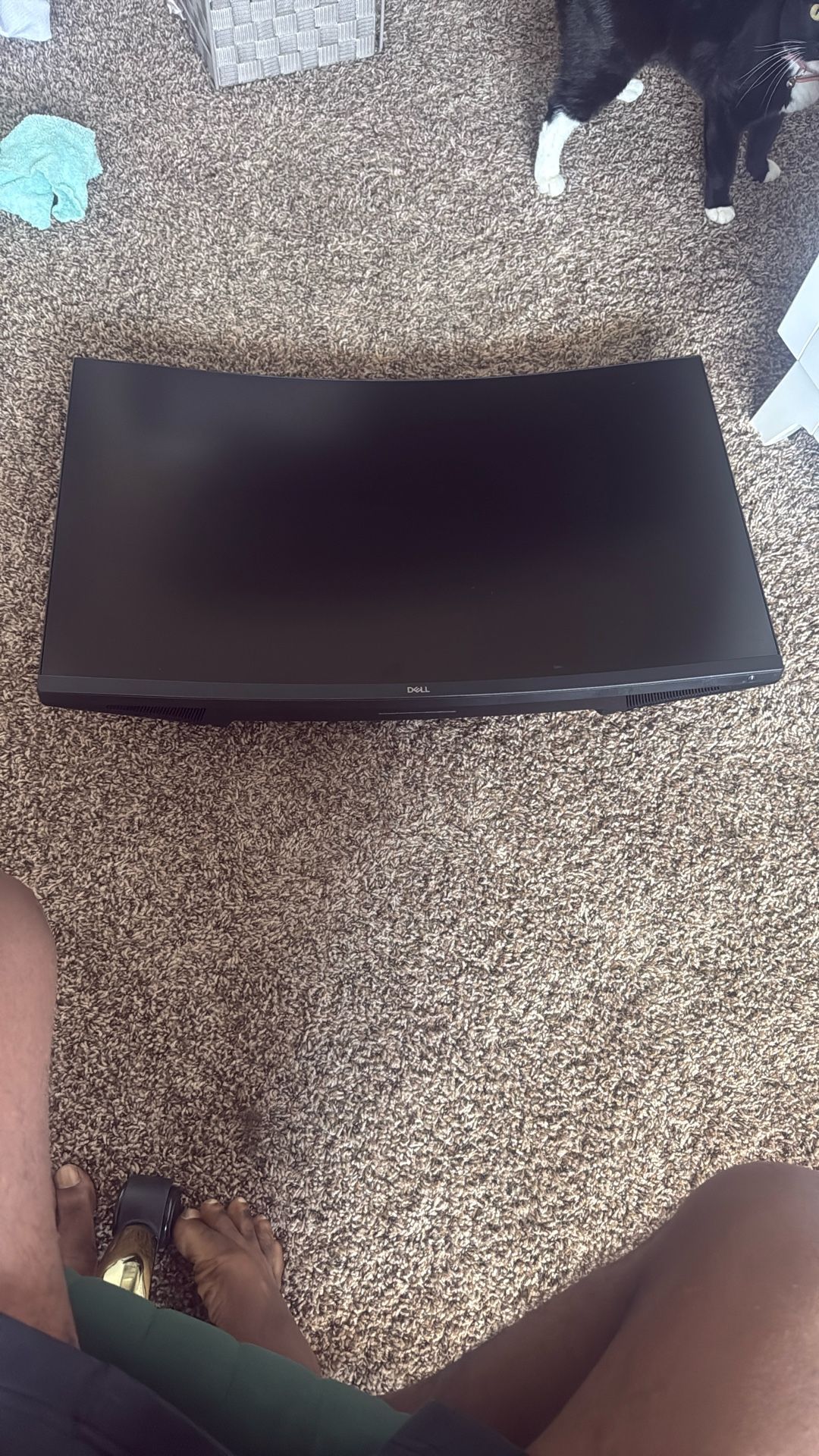 Dell PC Gaming monitor