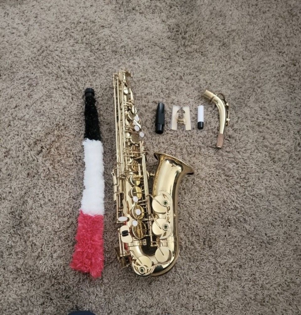 Alto saxophone Student
