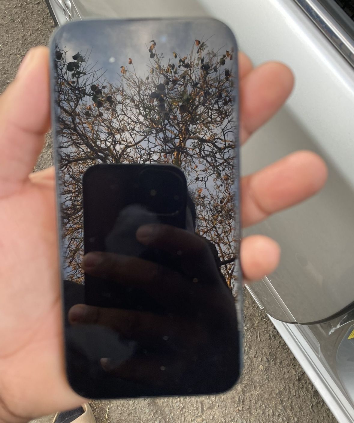 iPhone 15