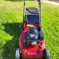 Toro Comercial