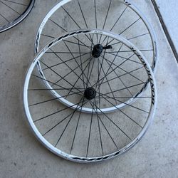 5- Bontrager SSR  Wheel Set 622 × 17/Bontrager SSR Wheel 700x23
