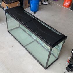 Fish Tank 