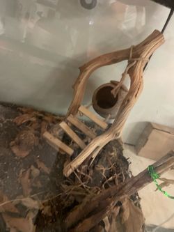 Terrarium