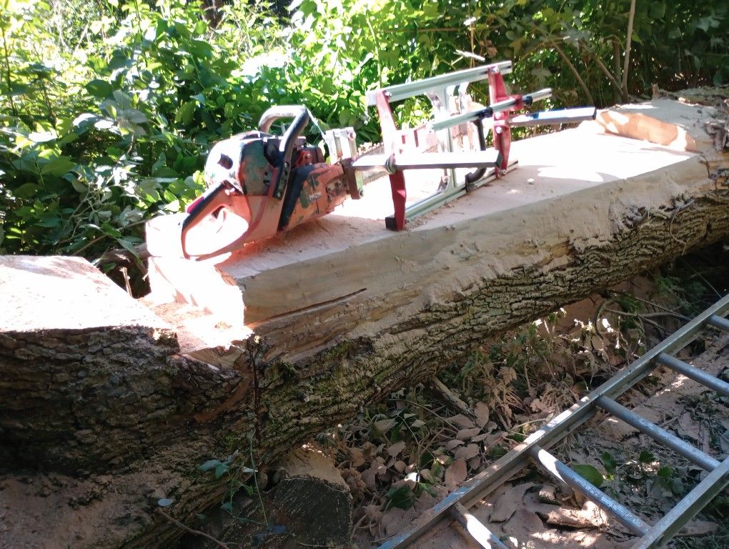 Live Edge Slabs.