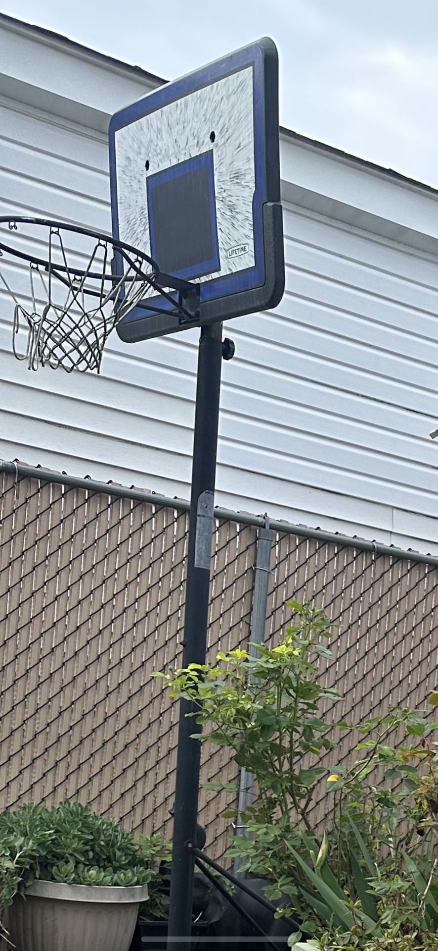 baskeball hoop 30