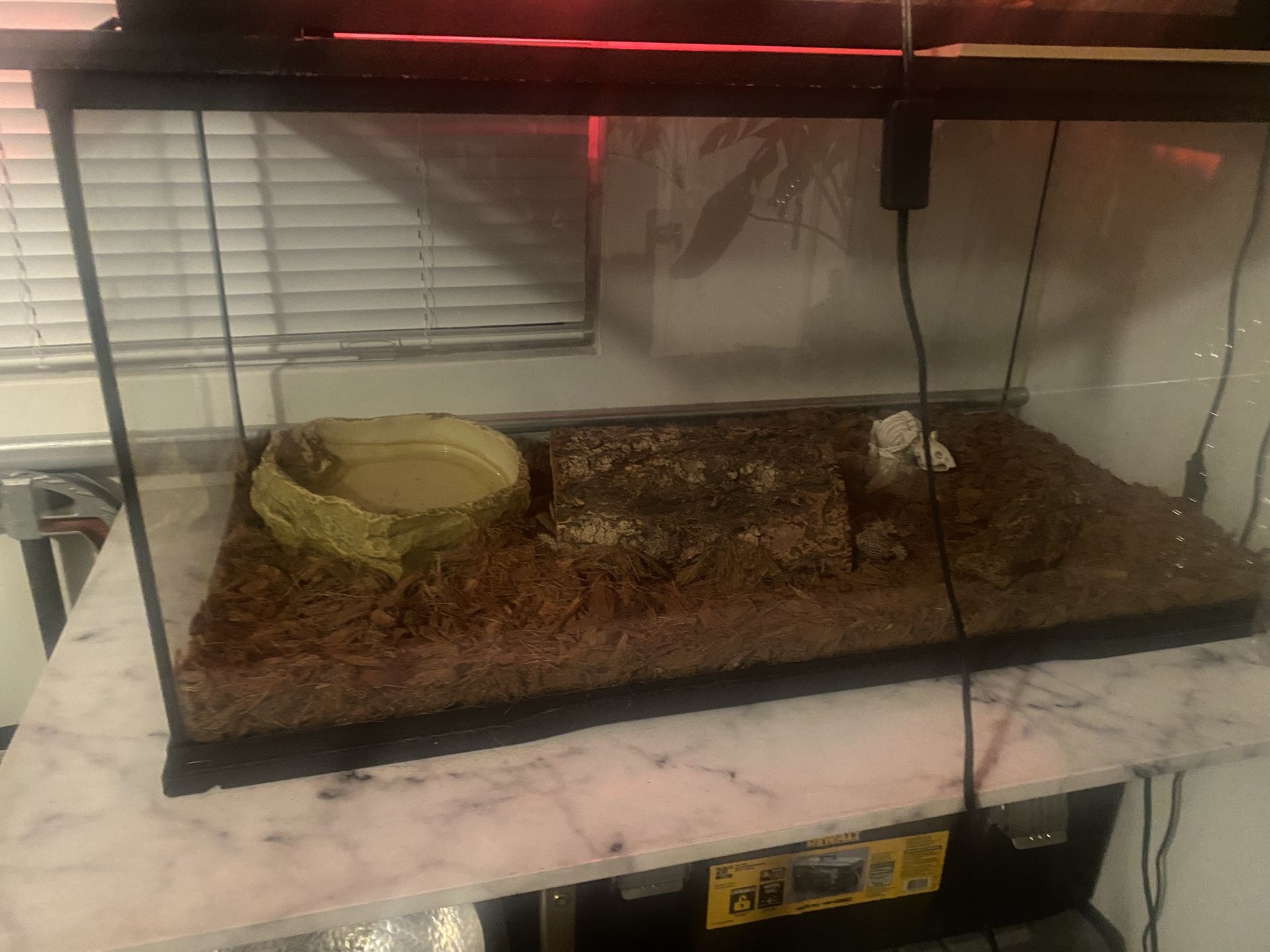 Fish Tank And Everything In It