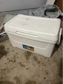 Igloo cooler