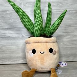 New Honeymaru Snake Plant Plush 10” Potted Succulent Plant Plush