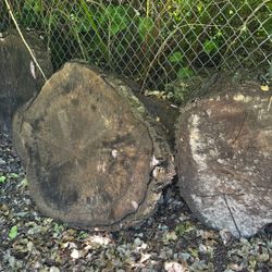 Round Slab Wood 