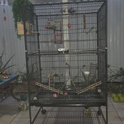 Jaula Negra Para Aves En Exelentes Condiciones