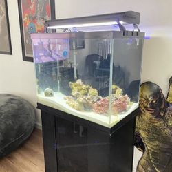 55 Gallon Saltwater Aquarium Full Set Up With Stand 