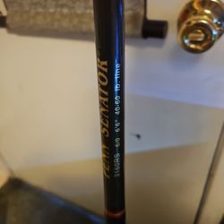 Fishing Rod