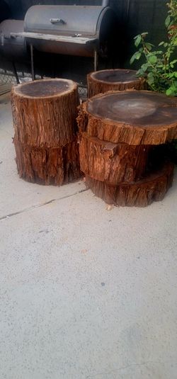 BIG  OAK TREE STUMPS