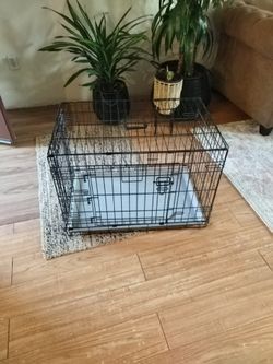 Cage