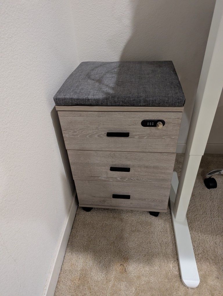 File Cabinet (Still in Original Packaging)