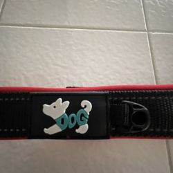 Medium Dog collar 