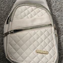 Cream Color Purse 