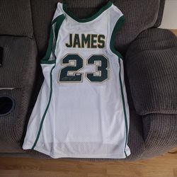 LeBron James  Jersey Auto