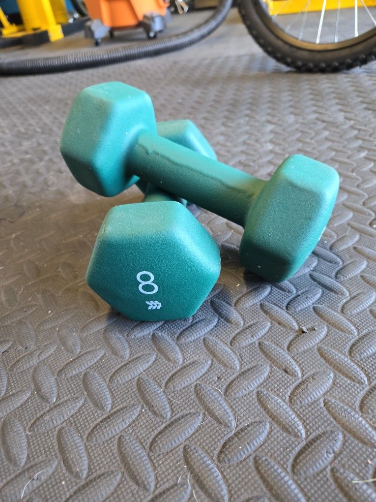 8lbs Dumbbells