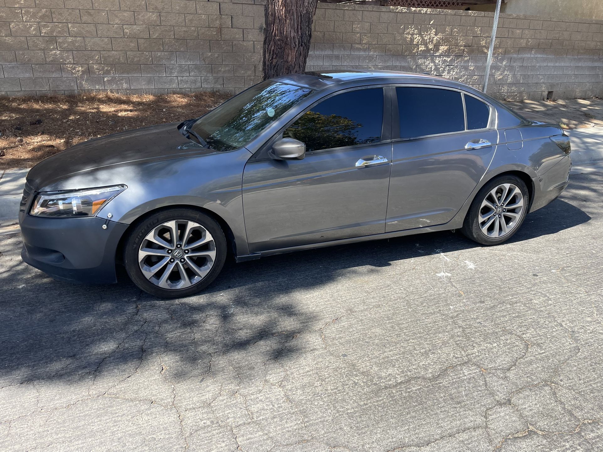 2008 Honda Accord