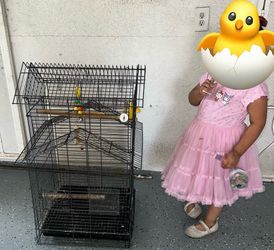 Bird cage jaula Asking $50