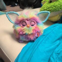 Furby