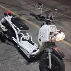 Maddog Motorcycle/Moped
