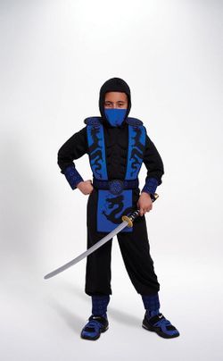 Ninja costume