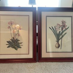 Framed Floral Prints