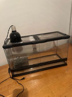 Reptile Enclosure