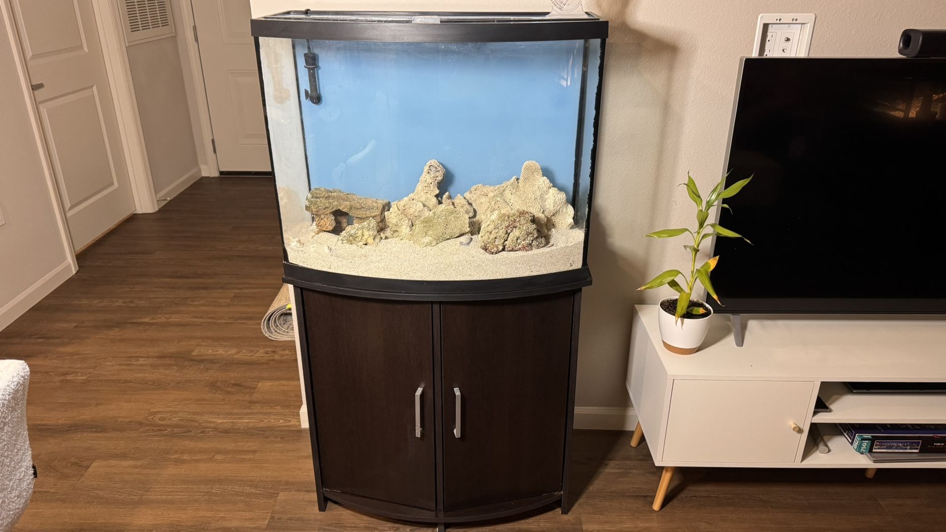 37-Gallon Aquarium Set – Complete Kit