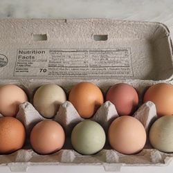 Organic Chicken Eggs
