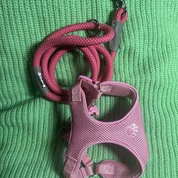 Puppy harness and Leash